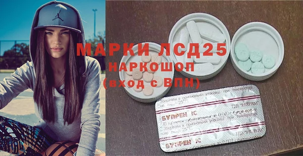 стафф Корсаков