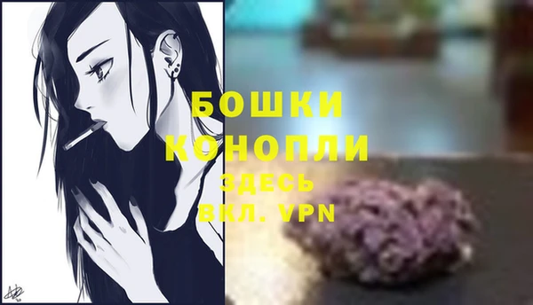 прущий лед Костерёво