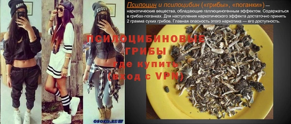 прущий лед Костерёво