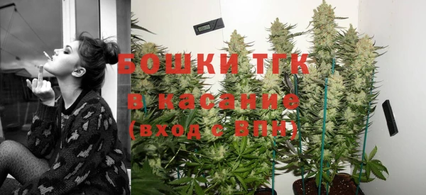 прущий лед Костерёво