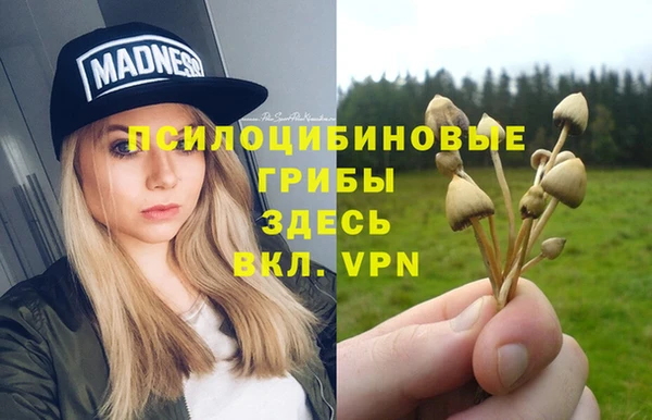 стафф Корсаков