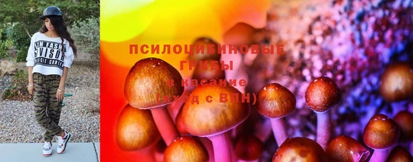 стафф Корсаков