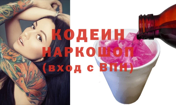прущий лед Костерёво