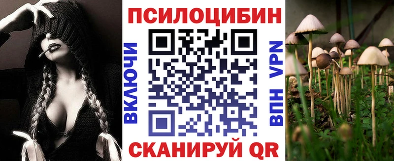 Купить закладки  Верхний Уфалей  Галлюциногенные грибы Magic Shrooms 